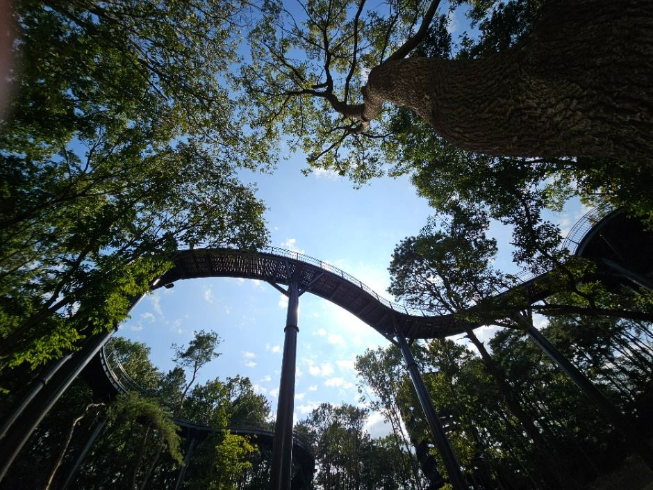 안성_금광호수 (11)