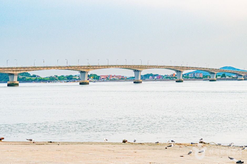 김포_김포 대명항 (7)