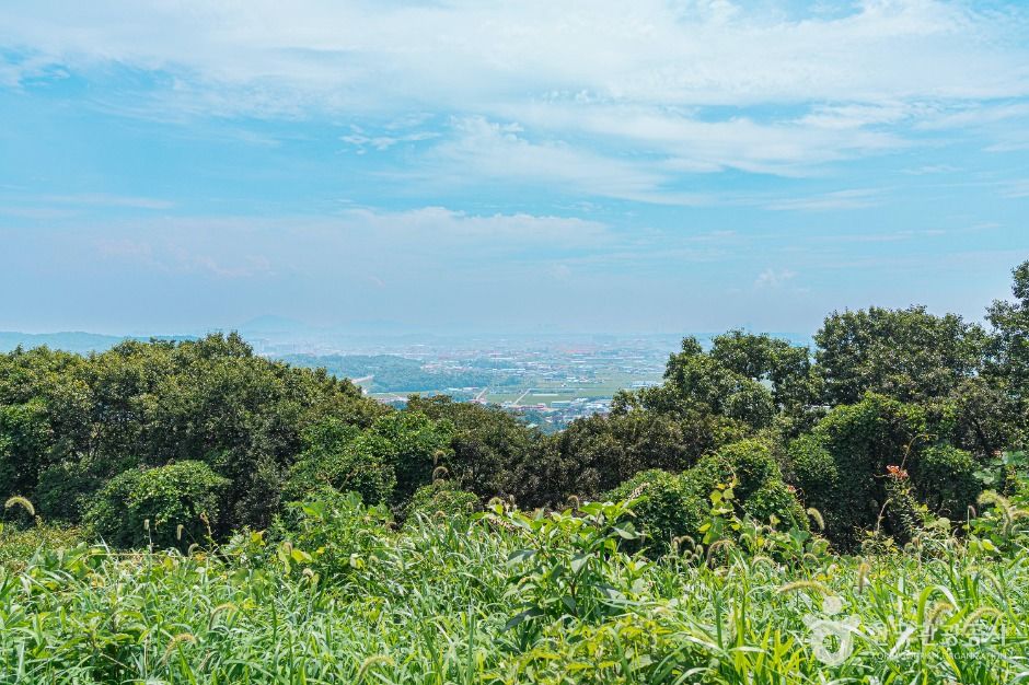 김포_김포 수안산성 (5)