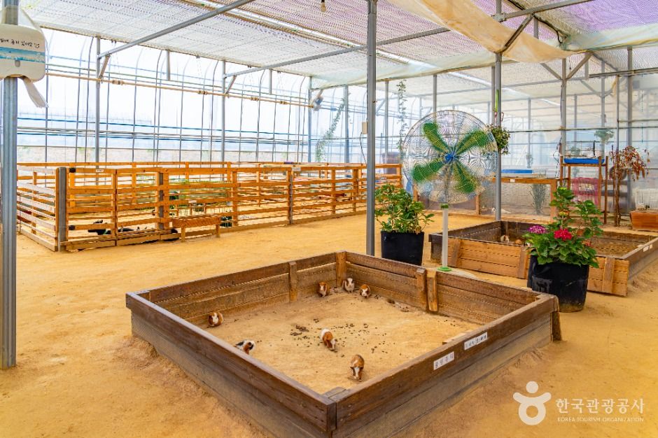 부천_나눔농장(부천) (2)