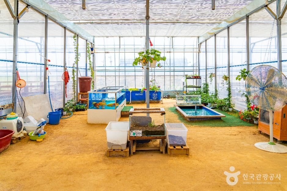 부천_나눔농장(부천) (5)