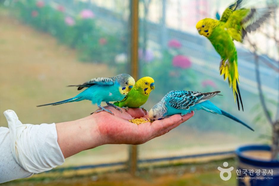 부천_나눔농장(부천) (6)