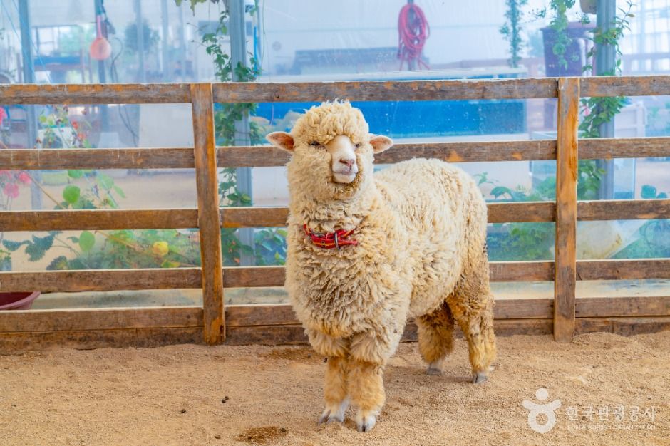 부천_나눔농장(부천) (7)