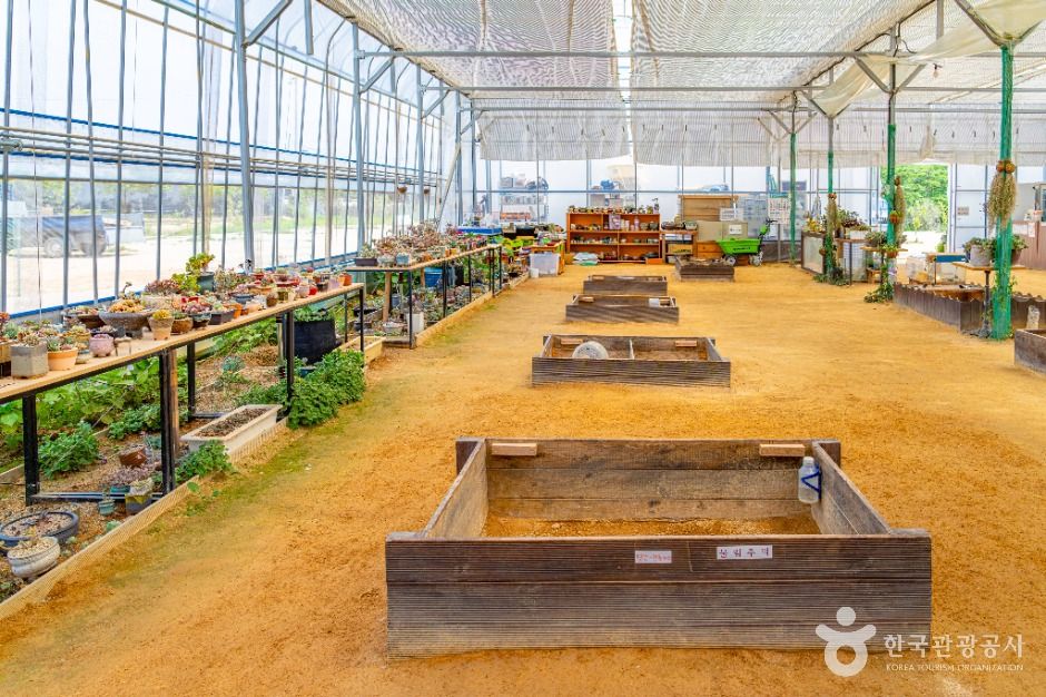 부천_나눔농장(부천) (9)