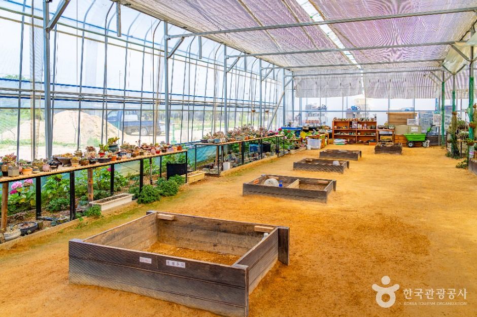 부천_나눔농장(부천) (10)