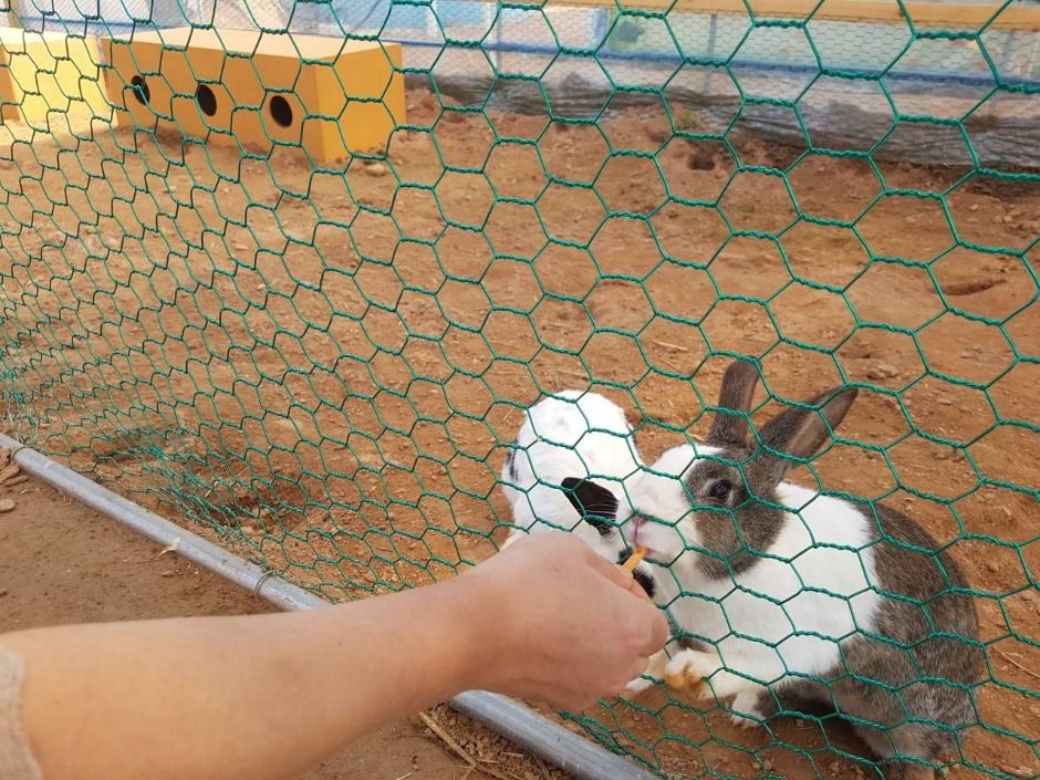 파주_나눔농장(파주) (2)