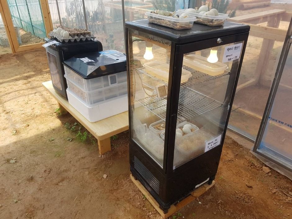 파주_나눔농장(파주) (4)