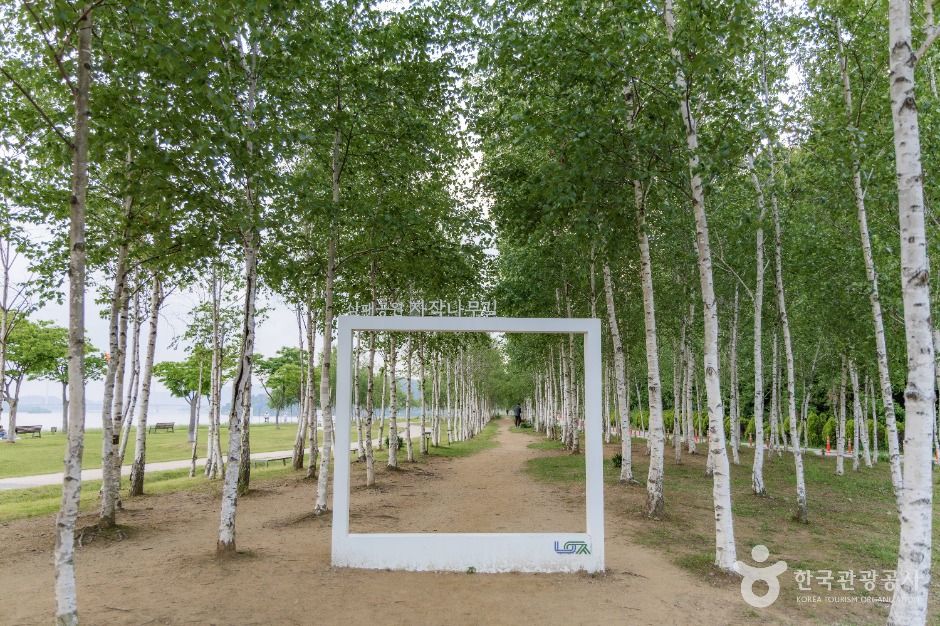 남양주_남양주한강공원(삼패지구) (2)