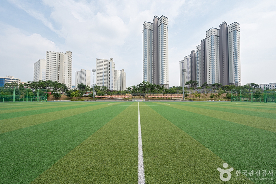 남양체육공원 (13)