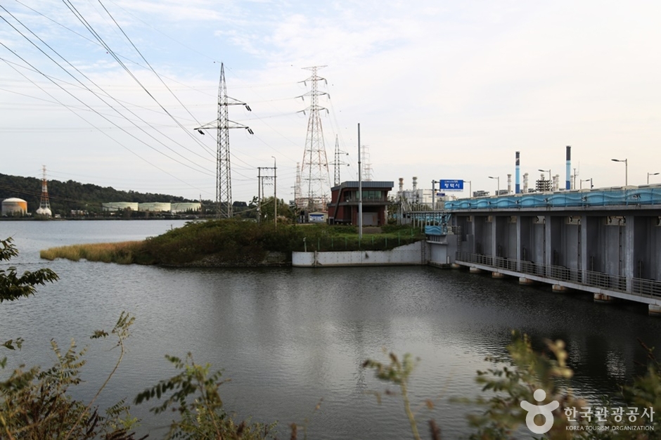 남양호(남양황라) (4)