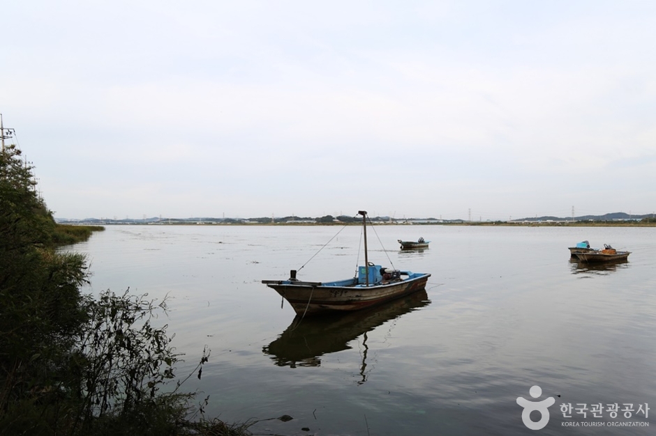 남양호(남양황라) (10)