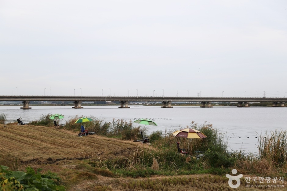 남양호(남양황라) (14)