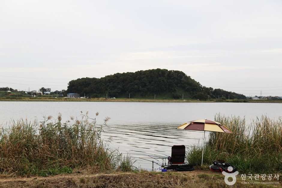 남양호(남양황라) (18)