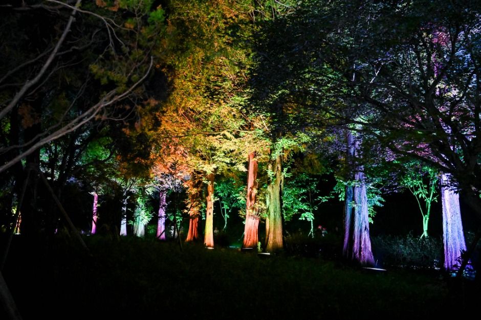 여주_남한강출렁다리 (9)