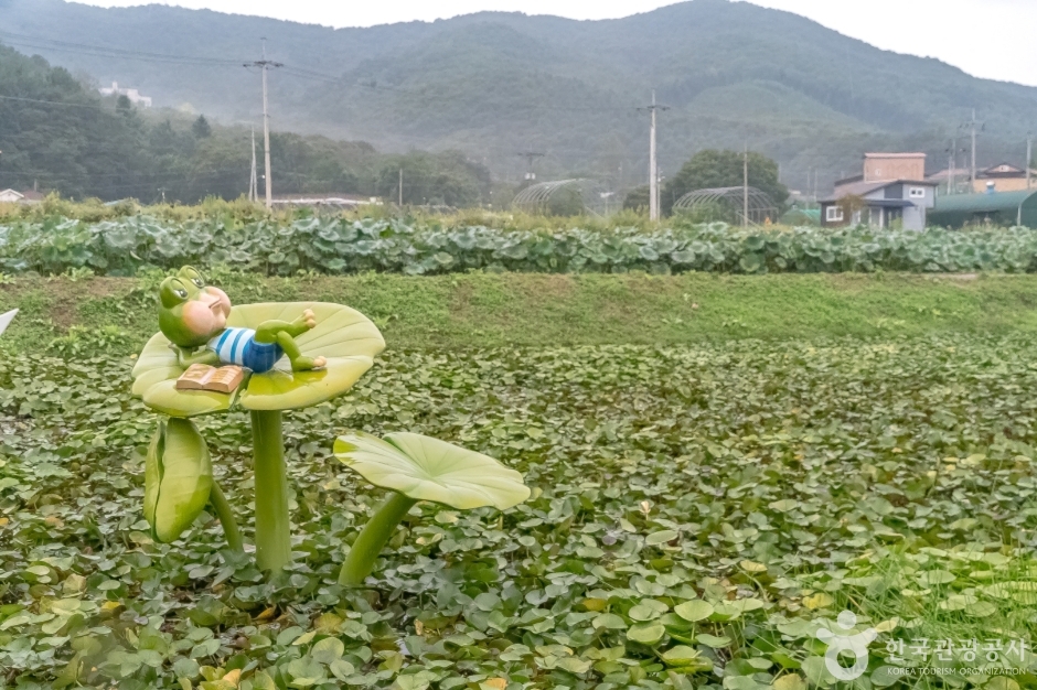 내동마을연꽃단지8