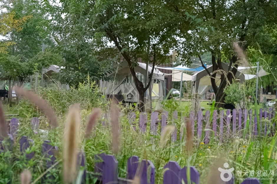 놀이정원풀빛 (7)