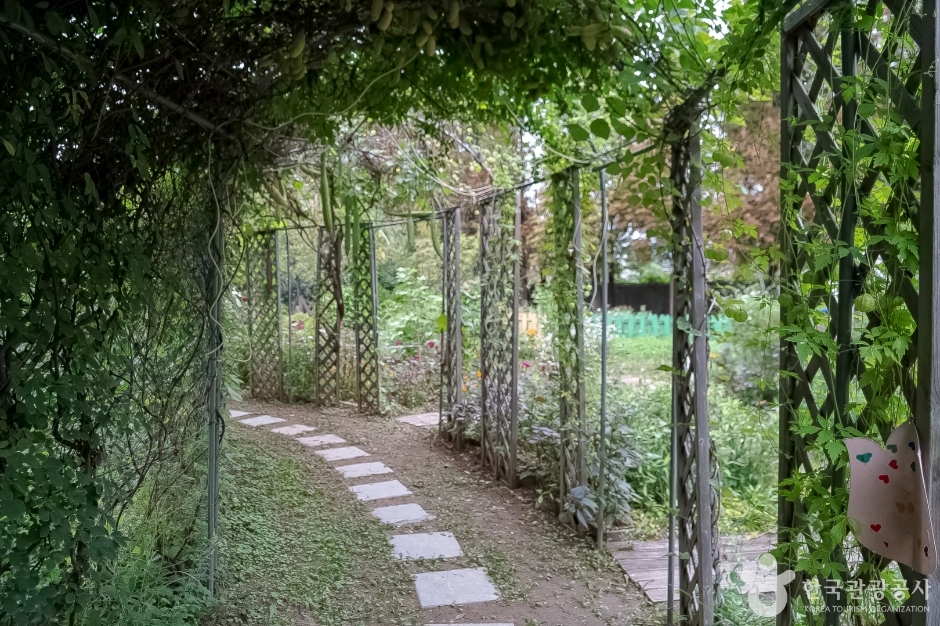 놀이정원풀빛 (9)