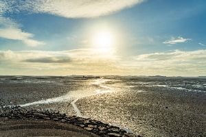 탄도어촌체험마을