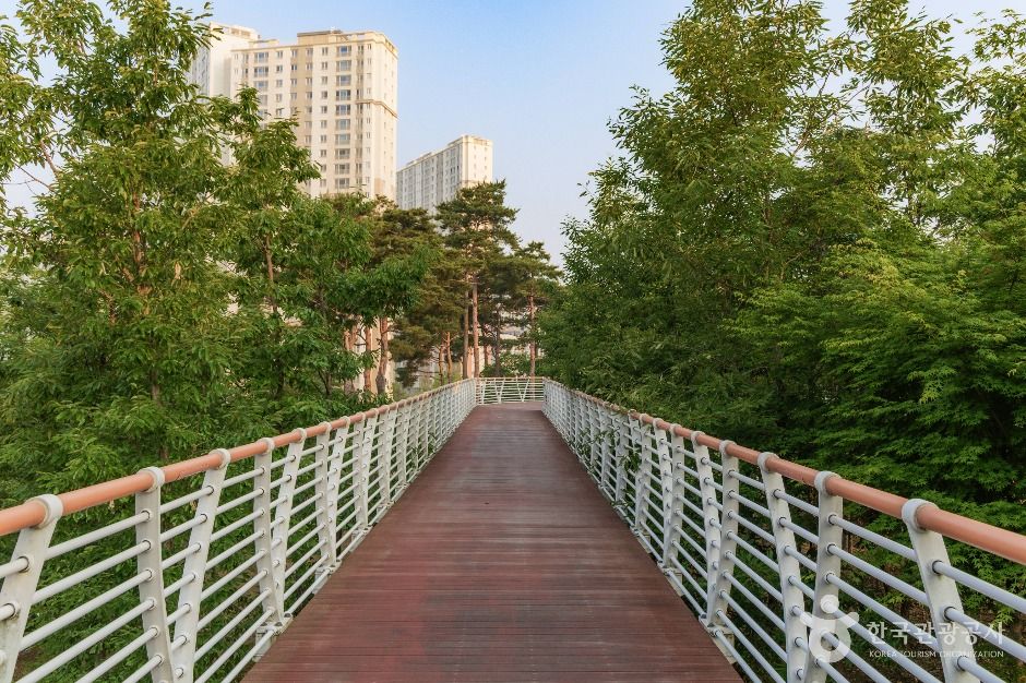 남양주_다산중앙공원 (1)