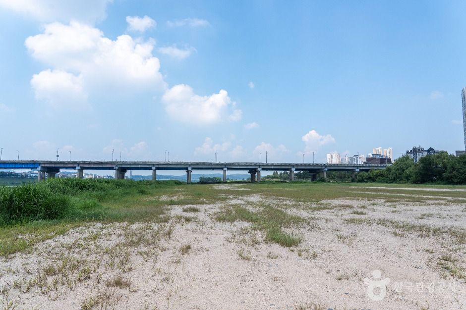 여주_달맞이광장 (5)