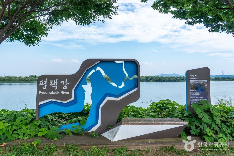 평택_당거리나루터 (5)