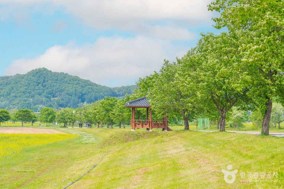 여주_당남리섬 (3)