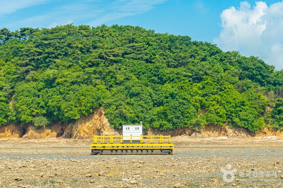 안산_대부도 흘곶 어촌체험 마을 (12)