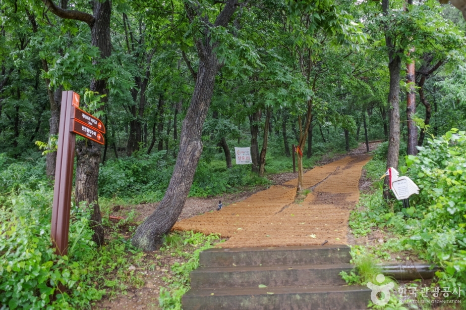 대부해솔길 1코스 (9)