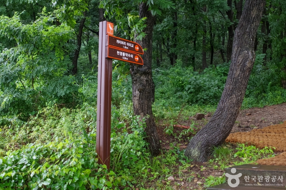 대부해솔길 1코스 (10)