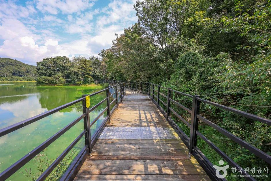 경기_양평_대평지 (2)