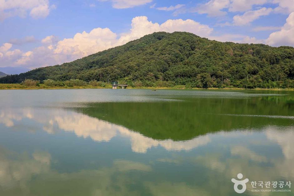 경기_양평_대평지 (3)