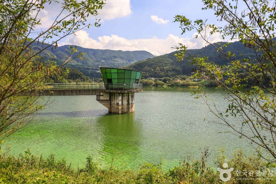 경기_양평_대평지 (5)