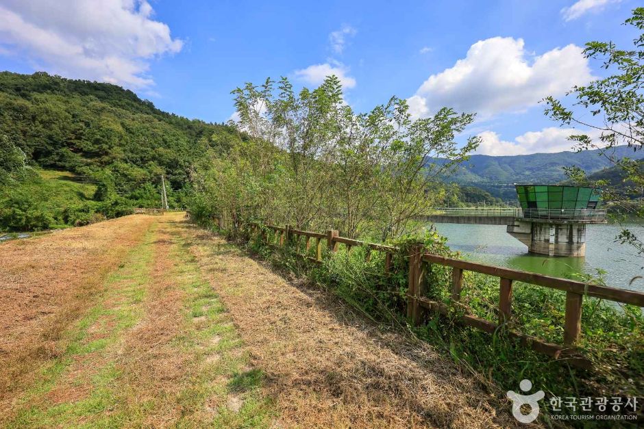 경기_양평_대평지 (6)