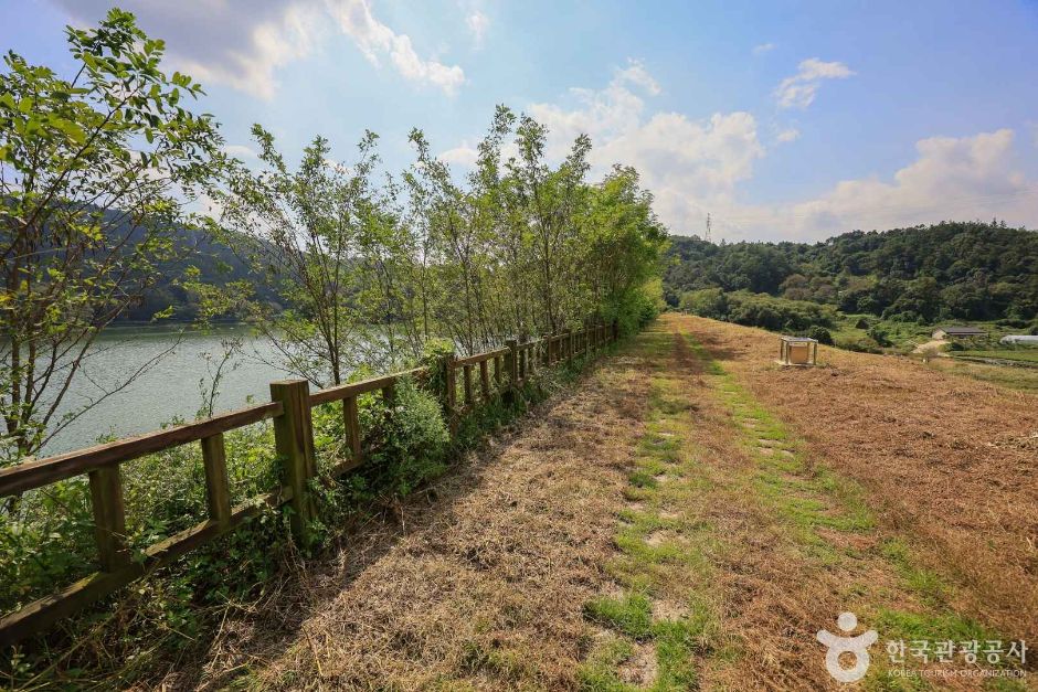 경기_양평_대평지 (7)