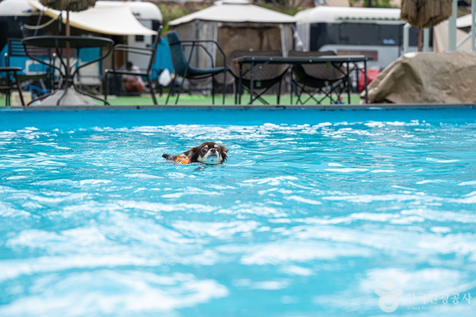 더 히로 플레이 그라운드 (5)