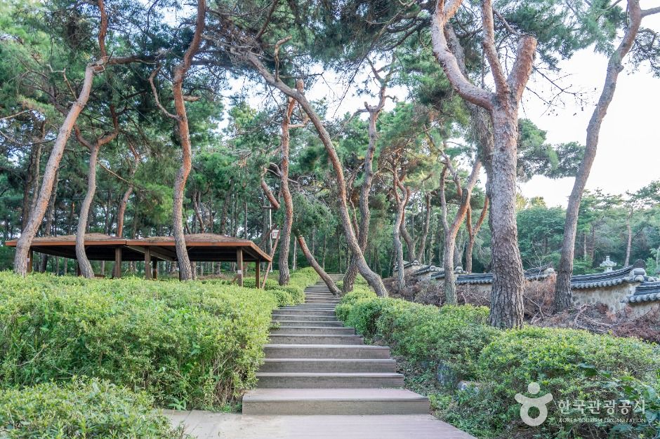 평택_덕동산근린공원 (5)