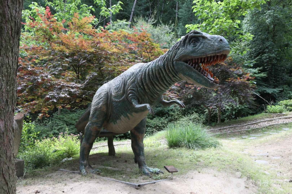 덕평공룡수목원 (9)