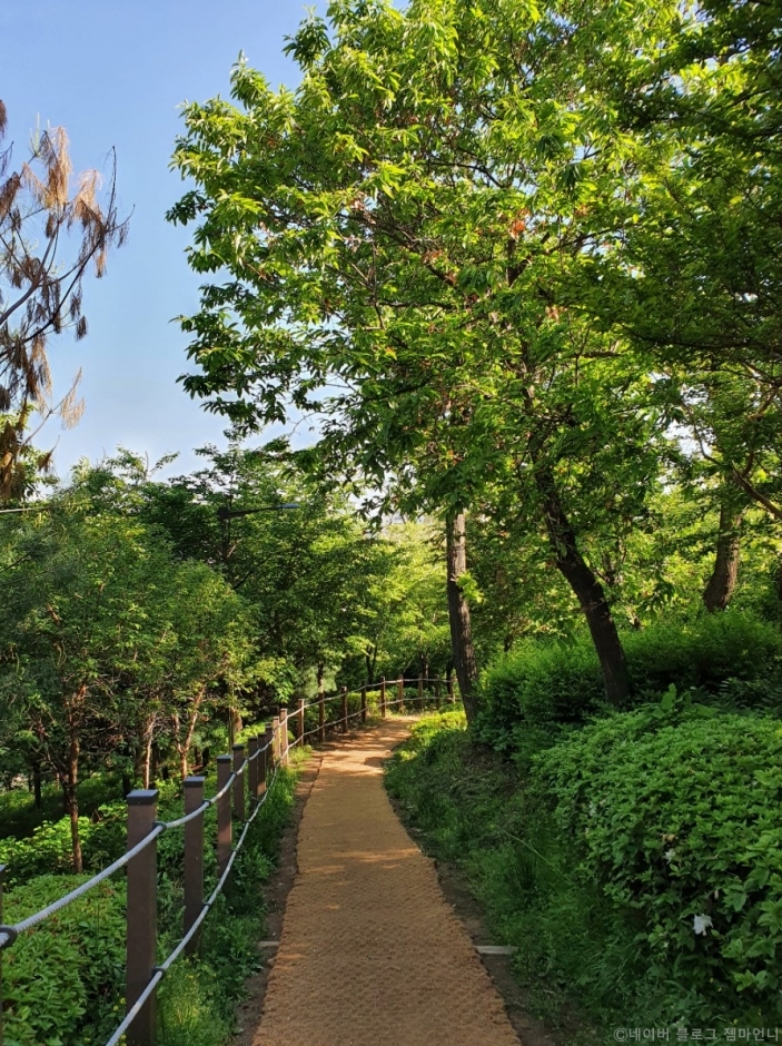 경기도_하남시_덕풍공원_산책길