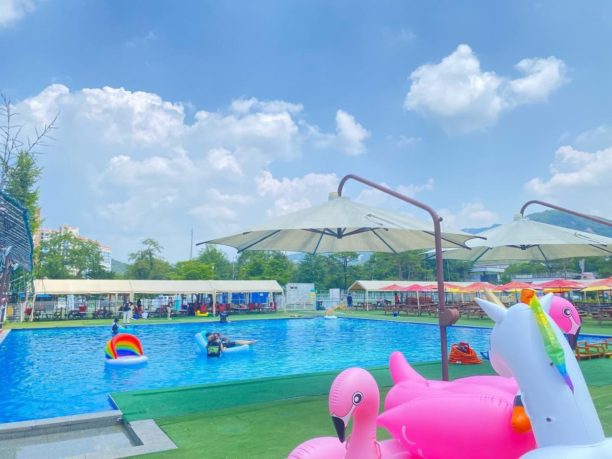 도그베이송추 수영장2