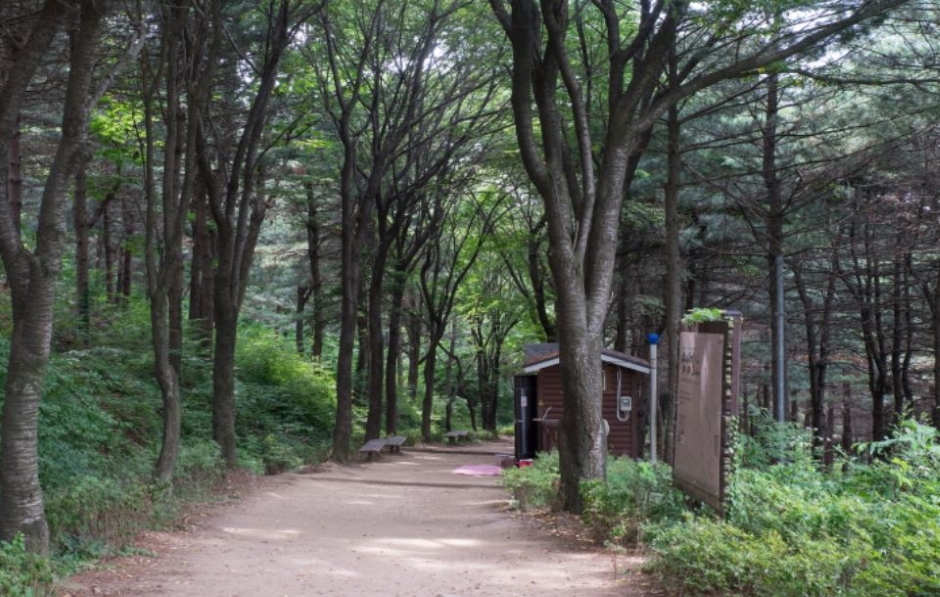 독산성산림욕장_길