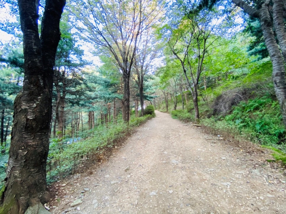 독산성산림욕장