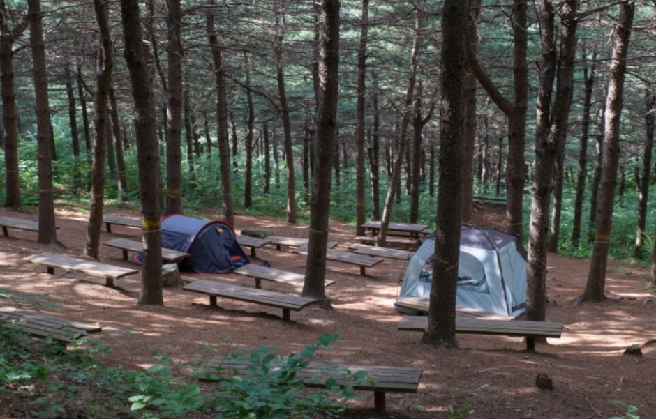 독산성산림욕장_쉼터