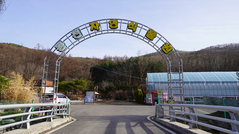 동천자연식물원