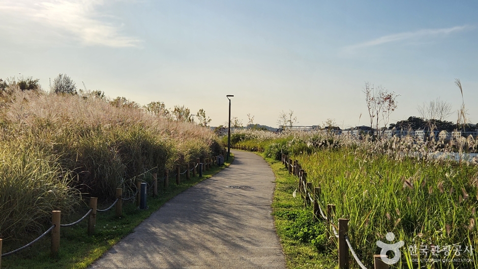 동탄호수공원_15