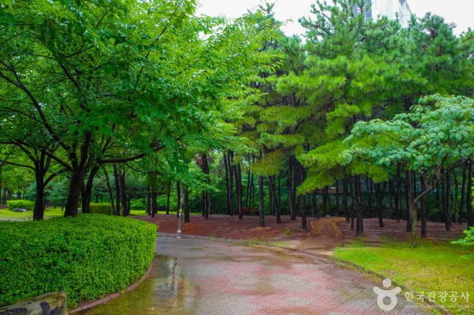 둔배미공원 (18)