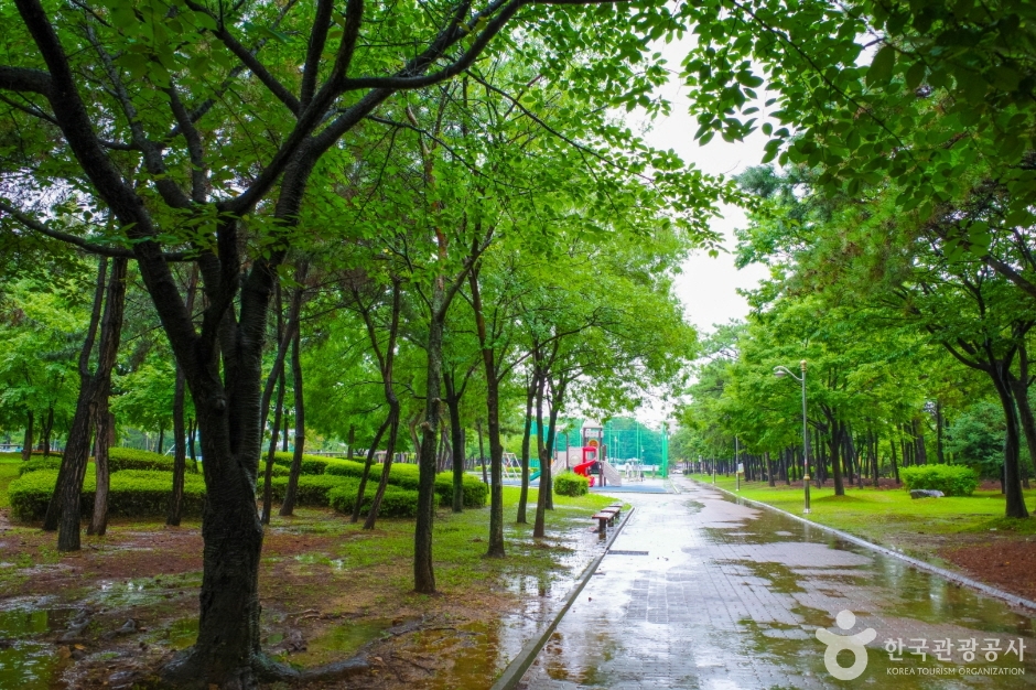 둔배미공원 (20)