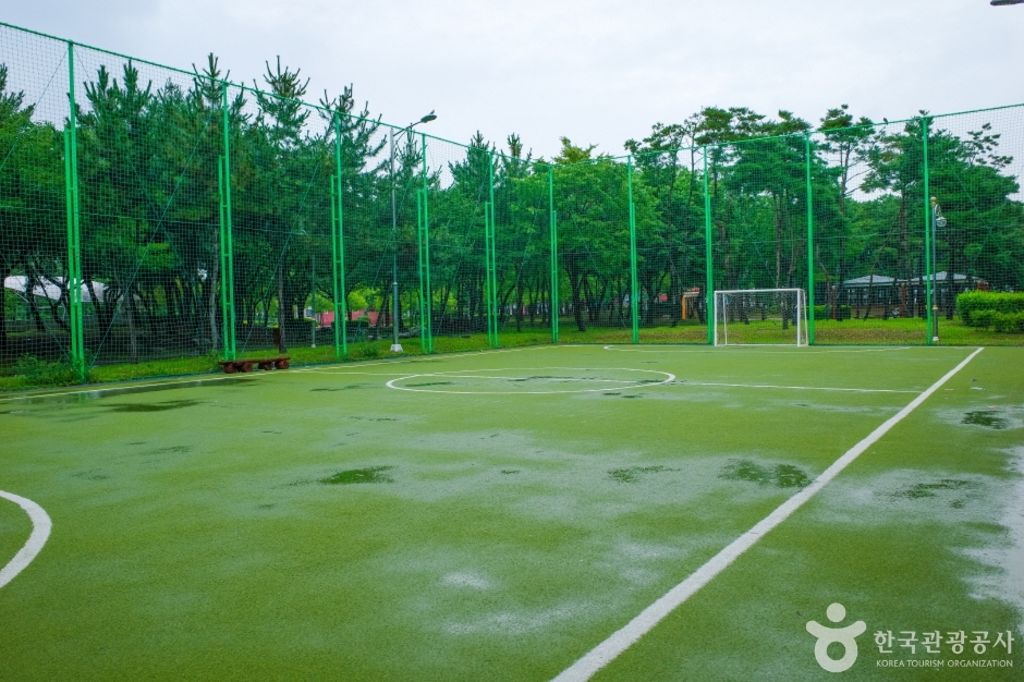 둔배미공원 (23)