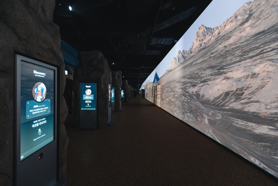 디스커버리 네이처스케이프 동탄점 (1)