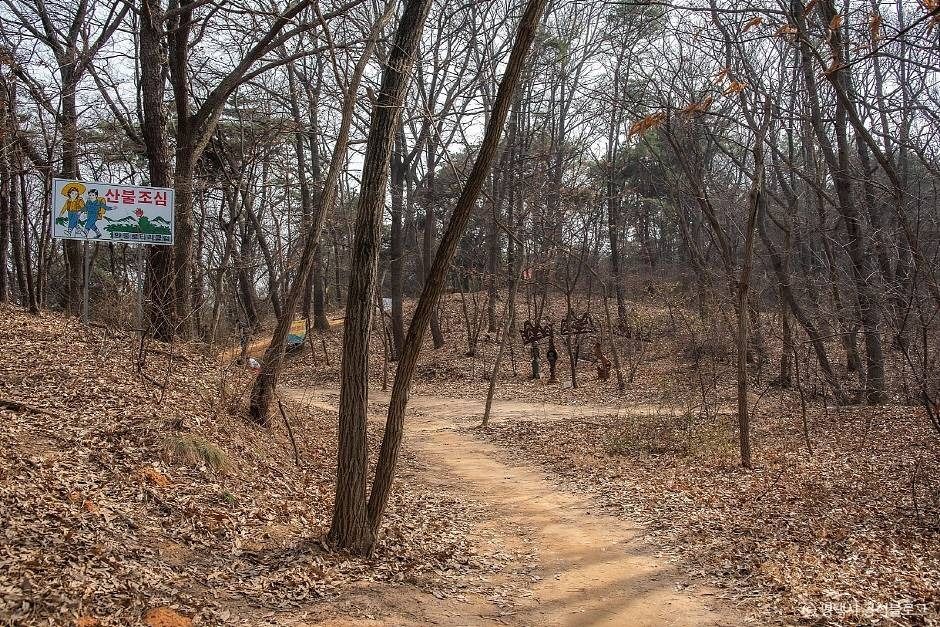 평택_마안산 (3)