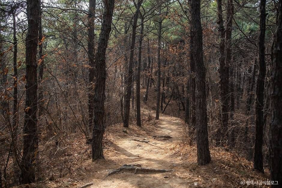 평택_마안산 (7)